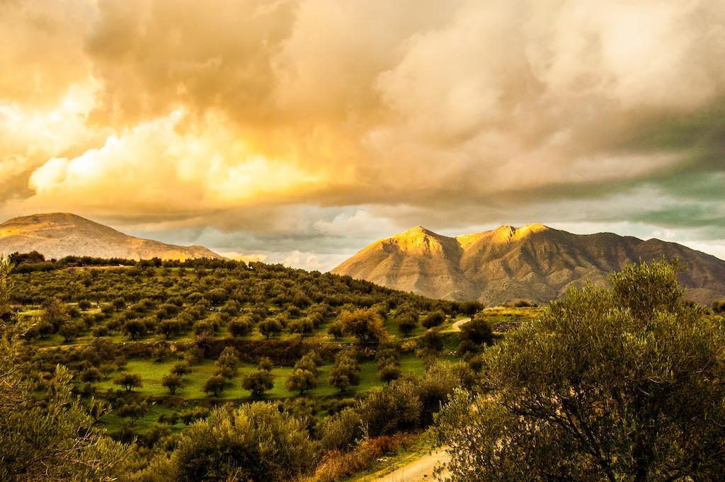 Enagron Ecotourism Village Axós Buitenkant foto