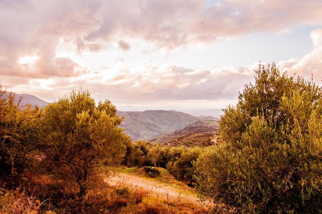 Enagron Ecotourism Village Axós Buitenkant foto