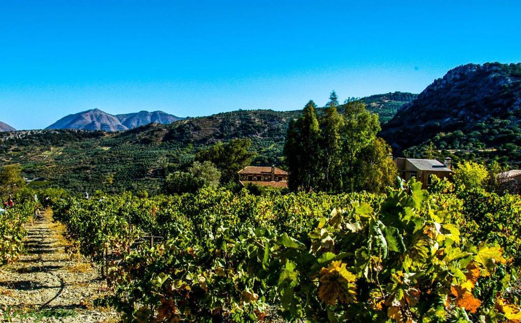 Enagron Ecotourism Village Axós Buitenkant foto