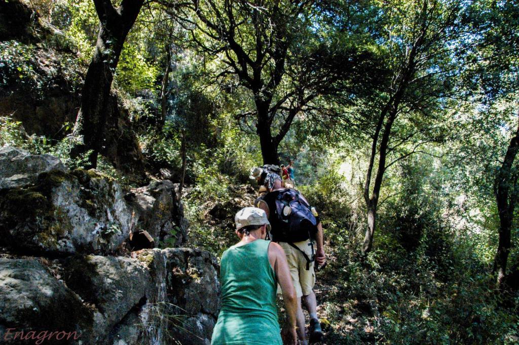 Enagron Ecotourism Village Axós Buitenkant foto