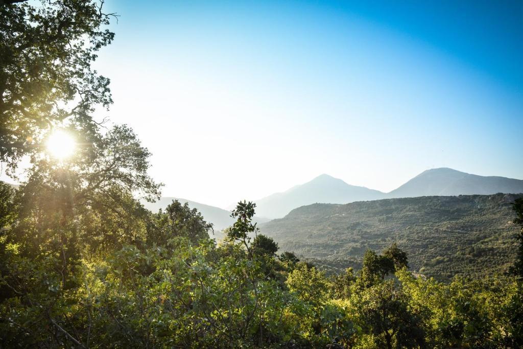 Enagron Ecotourism Village Axós Buitenkant foto